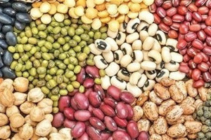 قیمت حبوبات و چای چقدر شد؟ / تصمیم جدید وزارت جهاد کشاورزی برای واردات