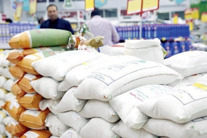 رونمایی از برنج ۳۰۰ هزارتومانی/ قیمت برنج تا کجا بالا میرود؟