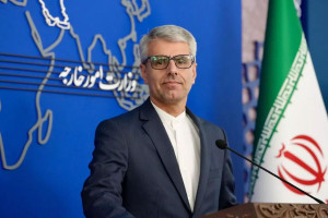 سخنگوی وزارت خارجه : ایرانیان ثابت کردند که ملت امام حسین هستند