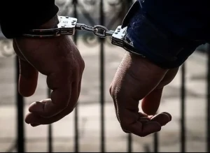 اداره مهاجرت و گمرک آمریکا: ۱۳۰ تبعه ایرانی طی یک هفته گذشته در آمریکا بازداشت شدند