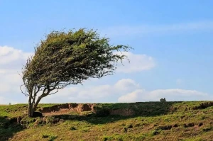 وزش باد شدید و رگبار در انتظار برخی استانها