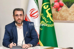 خرید بیش از ۹۰۰۰ تن گندم توسط تعاون روستایی آذربایجان شرقی