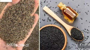 افزایش بهرهوری و صادرات گیاهان دارویی با اصلاح ارقام زیره و سیاهدانه در گلستان