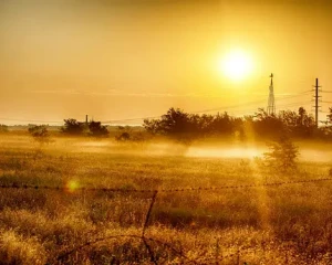 تفال به حافظ سه شنبه 24 تیر ۱۴۰۴؛دوش در حلقهٔ ما قصّهٔ گیسویِ تو بود….