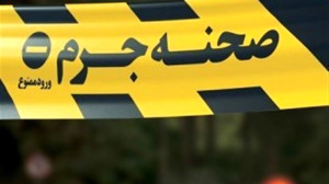 پیرزن تهرانی قربانی اعتماد کور به مستخدم جوان شد