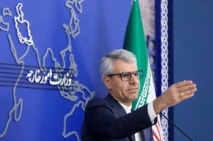 سخنگوی وزارت خارجه: جنایتکاران بیرحم صهیونیست را باید مهار کرد