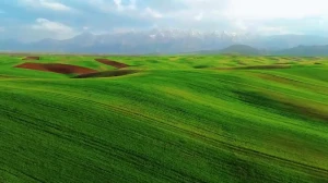 قالیکوه نمادی از هنر و فرهنگ غنی لرستان در دل طبیعت + فیلم