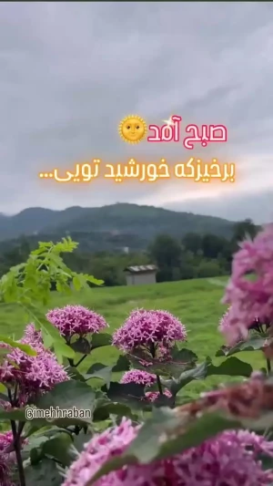 طالع بینی امروز 23 تیر