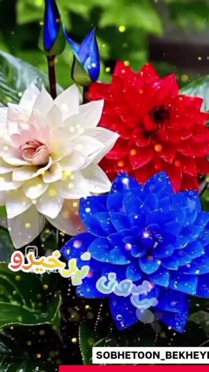 فال حافظ 30 تیر را بخوانید