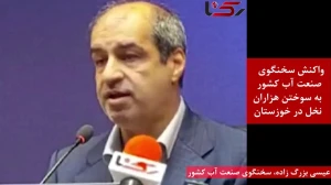هزاران نخل در خوزستان سوختند/ سخنگوی صنعت آب: مصرف بیرویه و پروژههای متوقفشده، تراز آبی خوزستان را بر هم زدند + فیلم