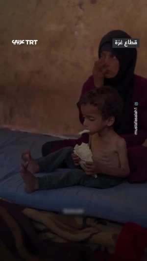 ببینید؛ بحران گرسنگی غزه در یک قاب