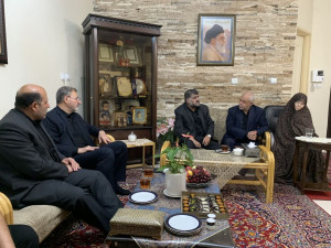 دیدار معاون رئیس جمهور با مادر شهیدان حسن و محمد باقری