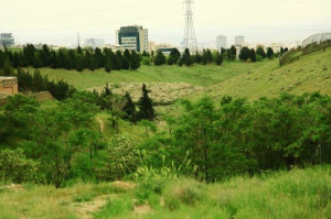 رهاسازی ۷۳ گونه حیات وحش در پارک پردیسان