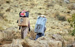 راهکارهایی برای حل مشکل کولبران/کارت شناسایی صادر می شود؟