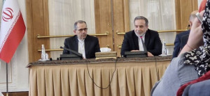 عراقچی: ادامه همکاری ایران با آژانس از طریق شورای عالی امنیت ملی انجام خواهد شد