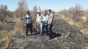 نخستوزیر پیشین اسرائیل: یهودیان فلسطینیها را میکشند و آنها را میسوزانند