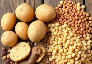 گمرک ایران: صادرات حبوبات ممنوع است