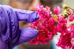 پوشش شیشهای نوین برای کاهش مصرف انرژی و دفع اشعه فرابنفش