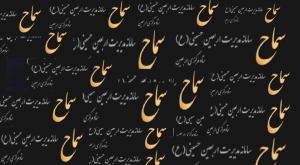 بیمه زیارت ۵هزار تومان، دریافتی سماح ۱۴۰ هزار تومان/ از اربعین و زائران تا قلّک سازمان