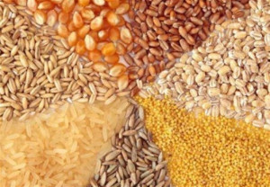 قیمت مصوب جدید نهادههای دامی، روغن و شکر