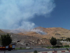 آتش سوزی عظیم در کوه آبیدر سنندج