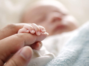 ثبت بیش از ۲۱۴ هزار تولد در بهار امسال
