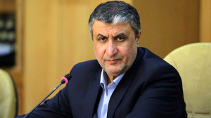 رییس انرژی اتمی : پیشرفت برنامه هستهای ایران ادامه خواهد داشت