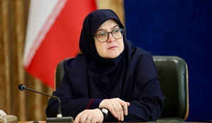 سخنگوی دولت: تندروی به معنای پیروی از ولایت نیست ؛ آب به آسیاب دشمن نریزیم