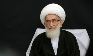 آیت الله نوری همدانی خطاب به به پاپ: در پیشگیری از جنایات رژیم صهیونیستی اقدامات موثری انجام شود