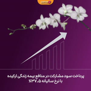 پرداخت سود مشارکت در منافع بیمه زندگی ارکیده با نرخ سالیانه ۳۷.۵ درصد