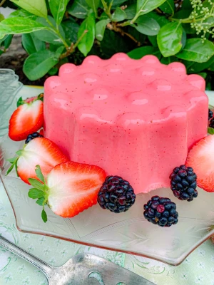 طرز تهیه دسر شانامو؛ دسر خنک برای روزهای گرم