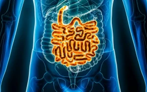 تغذیهی تکراری هضم غذا را کند میکند؟!
