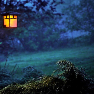 سکوت آسمان و آرامش شب / رهایی از دغدغه ها در آغوش ستارگان