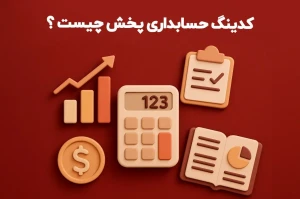 کدینگ حسابداری پخش مویرگی چیست؟