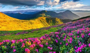 تفال به حافظ دوشنبه 30 تیر ۱۴۰۴؛ برو به کار خود ای واعظ این چه فریادست….
