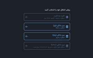 هشدار درباره سوءاستفاده از گزینه «مدیریت نقدینگی» در انتقال پایا