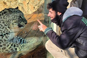 مرگ یک صهیونیست بر اثر حمله پلنگ ایرانی