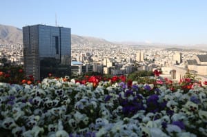 داستان اسکناسها