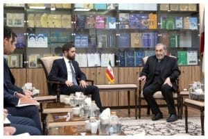 ولایتی: سرنوشت منطقه باید توسط کشورهای منطقه تعیین شود/ هر تحولی در نزدیک مرزهایمان را به دقت زیر نظر داریم