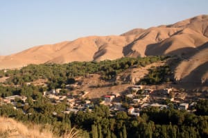 روستای آلوها جهانی می شود | آلوی برغان چطور شهرت جهانی پیدا کرد؟