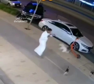 فیلم واکنش گربه عصبانی به سگ