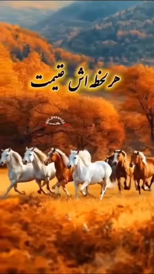 فال و طالع بینی امروز 11 مرداد