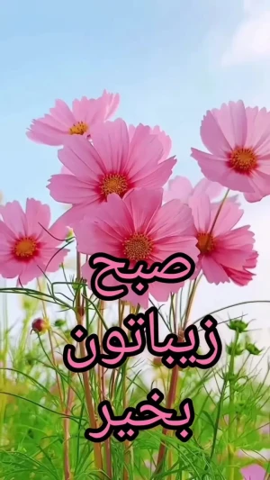 تفسیر فال حافظ امروز 23 مرداد