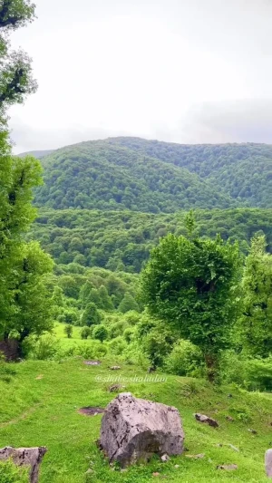 فیلم طبیعت سرسبز نورالعرش
