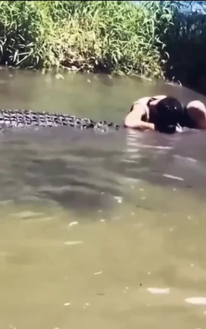 فیلم لحظه دلهرهآور حمله تمساح به مرد