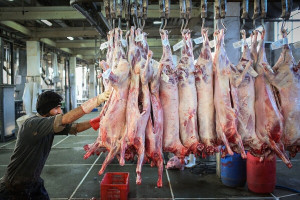 قیمت گوشت قرمز در بازار امروز ۶ مرداد + جدول