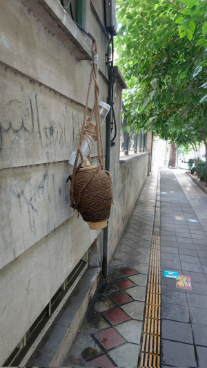 حرکت جالب و خودجوش یک هموطن در پیادهرو