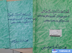 شکایت از وزیر دولت پزشکیان، به کمیسیون اصل ۹۰ رفت