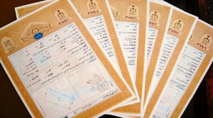 صدور سند کوچکترین زمین ایران؛ چند سانتیمتر؟!
