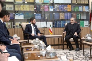 دیدار ولایتی و معاون وزیر خارجه ارمنستان